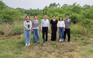 创新创业教育学院教职工开展花山公园春游踏青活动
